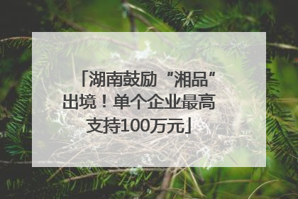 湖南鼓励“湘品”出境！单个企业最高支持100万元